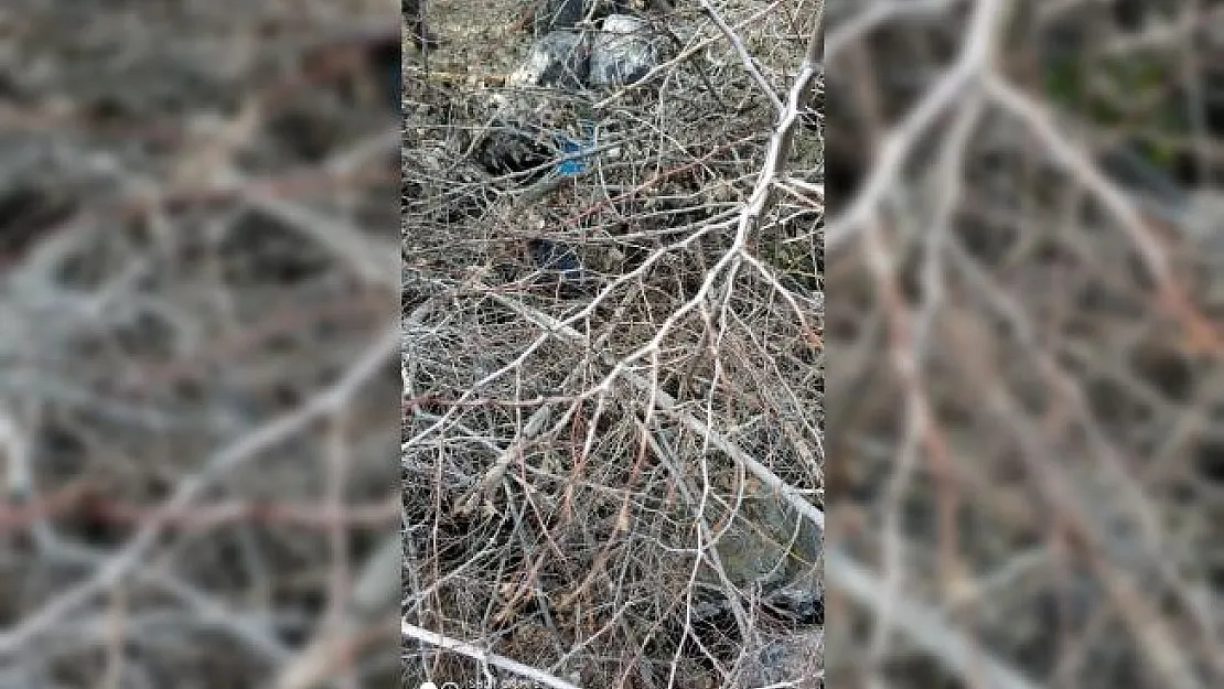 Şırnak'ta terör operasyonu