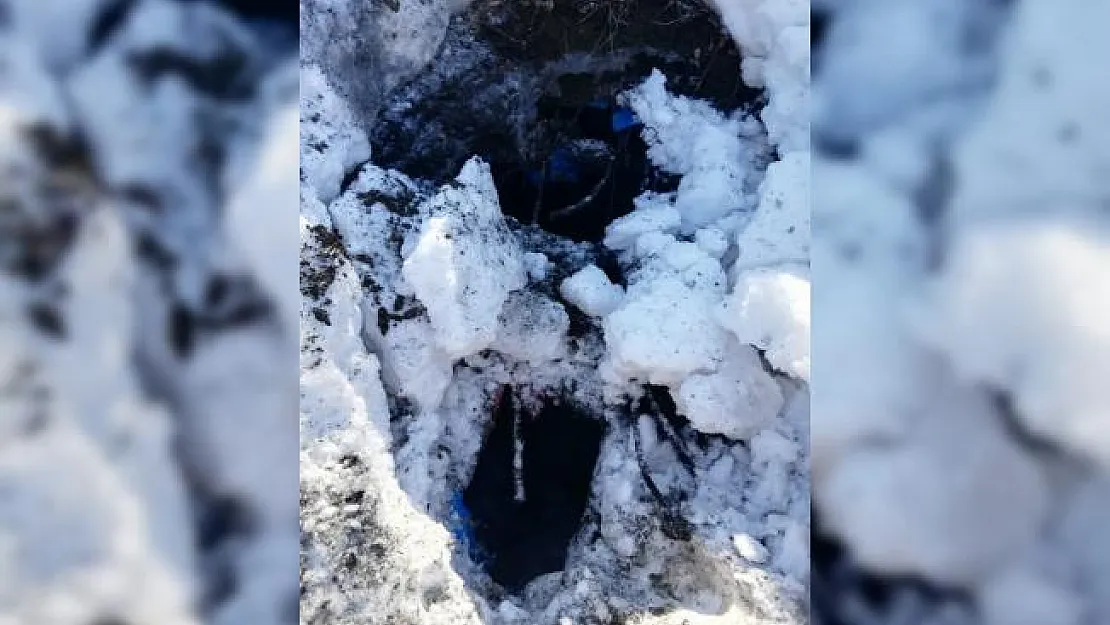 Şırnak'ta terör örgütü PKK'ya operasyon