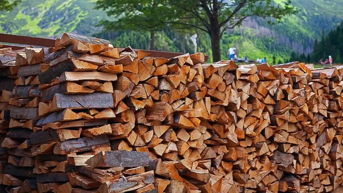 Soba ile ısınmak dahi lüks oldu! Odun fiyatları yüzde 100 zamlandı