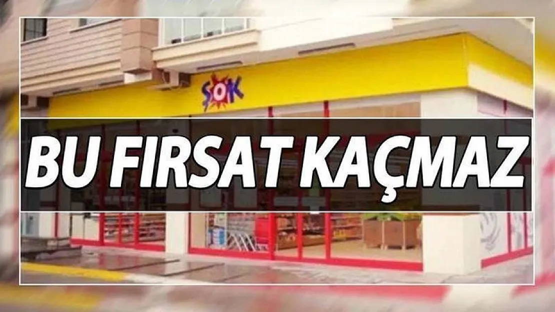 ŞOK aktüel bu hafta dopdolu! 4 sayfadaki ürünlerin hepsinde indirim var: Bu indirimi kaçıran çok üzülür