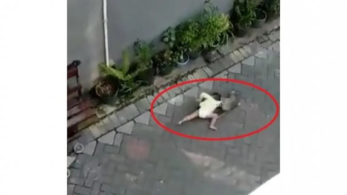 Şoke eden görüntüler! Maymun bisikletiyle çocuk kaçırmaya çalıştı!