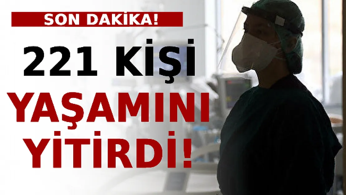 Son Dakika! 221 Kişi Yaşamını Yitirdi!