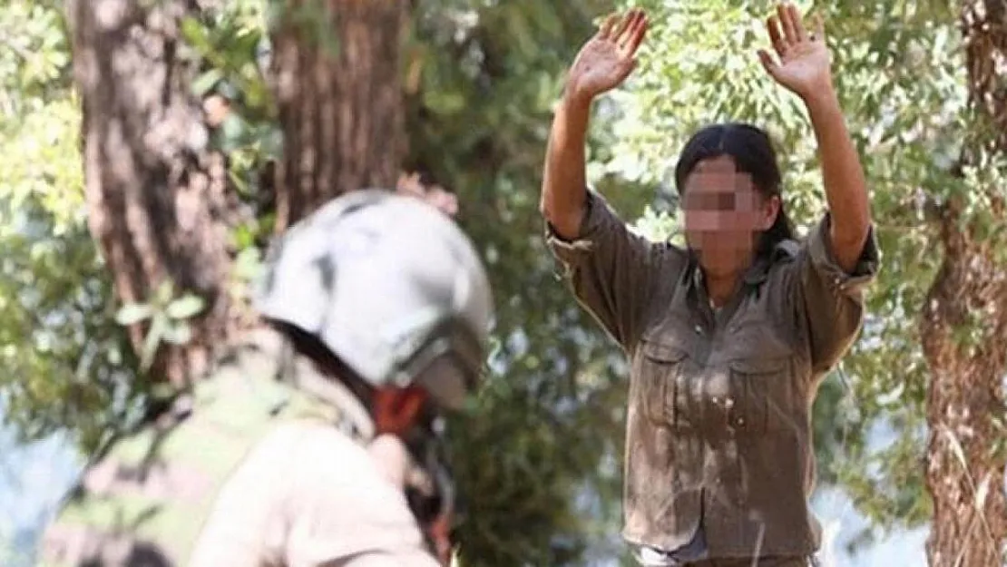 Son dakika 223 Terörist yakalandı!