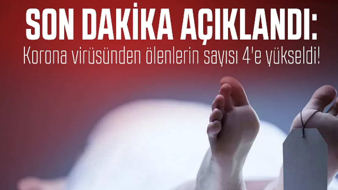 Son dakika açıklandı: Türkiye'nin sınır komşusu İran'da korona virüsünden ölen sayısı 4'e yükseldi!