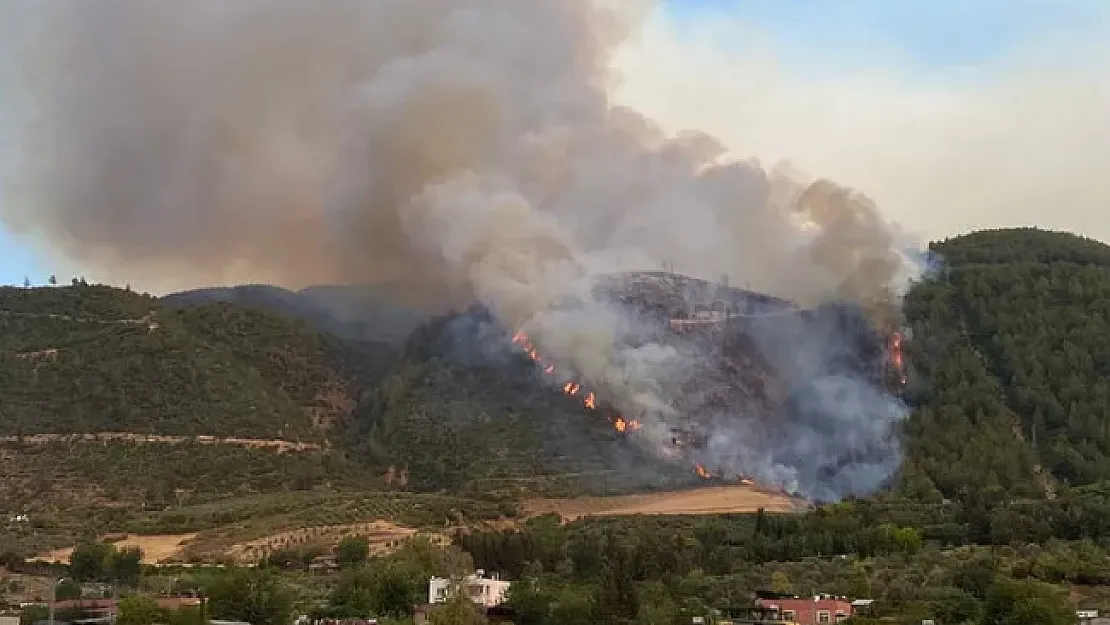 Son dakika Antalya'dan sonra 5 farklı şehirde de yangın çıktı! Evler boşaltılıyor!