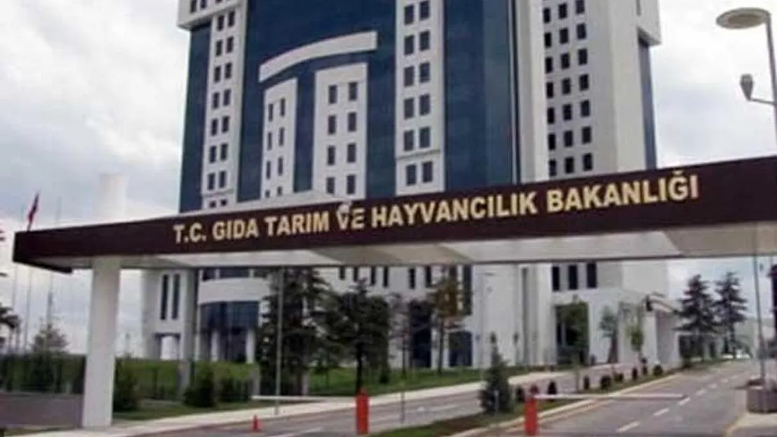 Son dakika Bakan Pakdemirli'den müjde! 2 bin kişi istihdam edilecek!