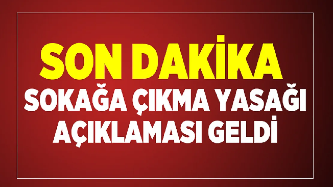 Son dakika Bakan Soylu'dan sokağa çıkma yasağı açıklaması