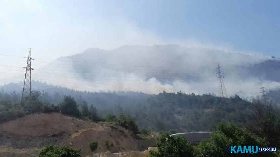 Son dakika... Bilecik'te korkutan yangın! 7 arazöz ve 3 helikopterle müdahale ediliyor