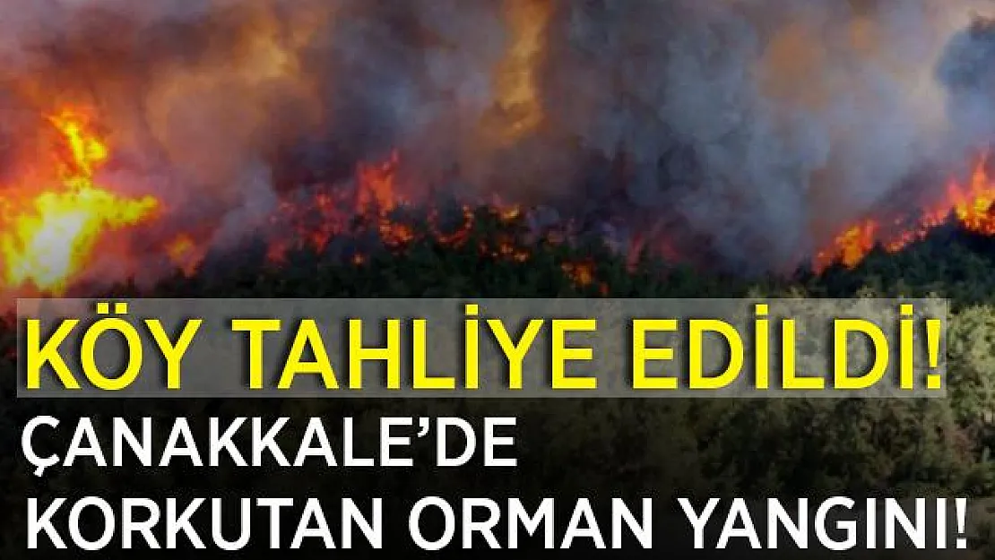 Son dakika Çanakkale'de korkutan orman yangını! Köy tahliye ediliyor!
