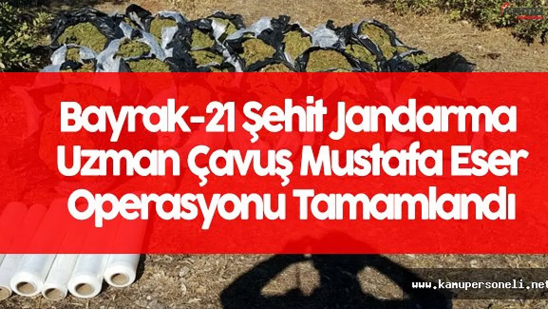 Son Dakika: Diyarbakır'daki Terör Operasyonu Sona Erdi