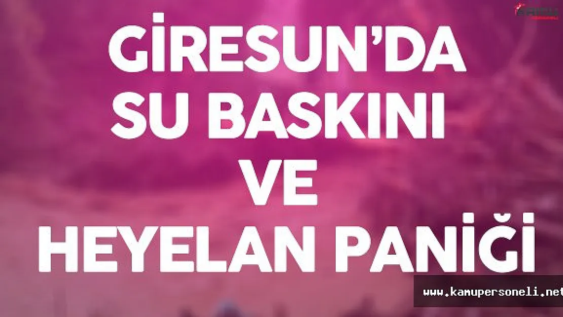 Son Dakika : Giresun'da Su Baskını ve Heyelan Paniği