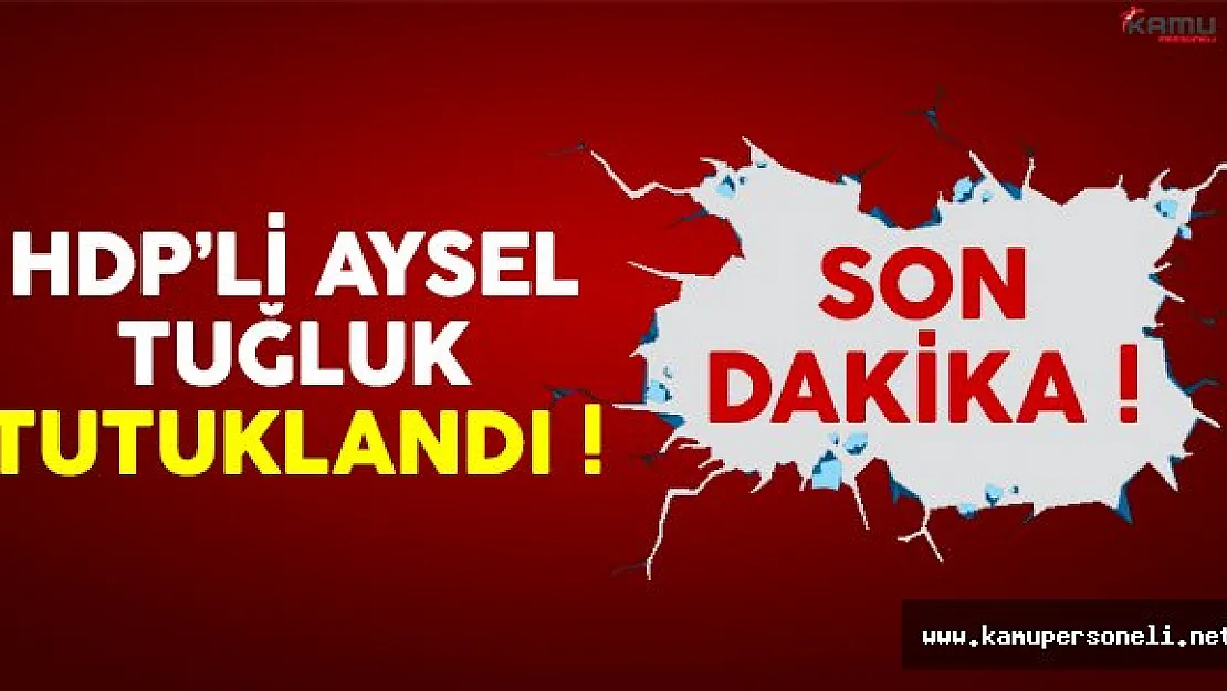 Son dakika: HDP'li Aysel Tuğluk tutuklandı