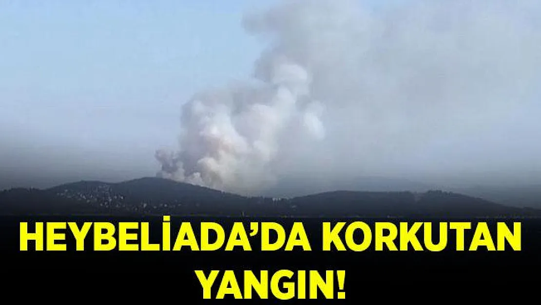 Son dakika Heybeliada'da korkutan orman yangını!