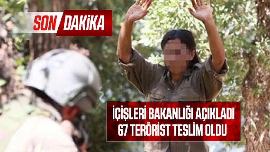 Son dakika İçişleri Bakanlığı açıkladı: 67 terörist teslim oldu