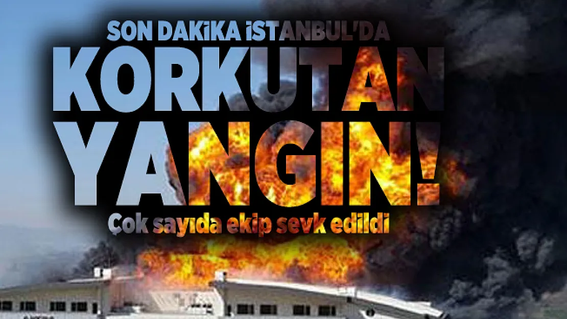 Son dakika İstanbul'da korkutan yangın! Çok sayıda ekip sevk edildi