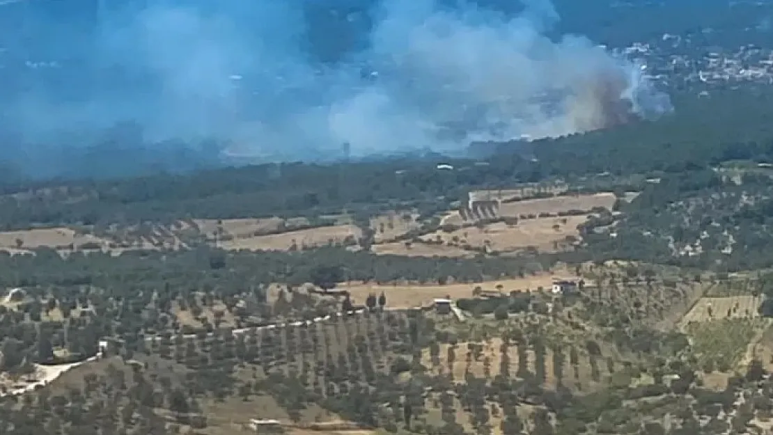 Son dakika İzmir'de bir orman yangını daha başladı! Havadan ve karadan müdahale başladı