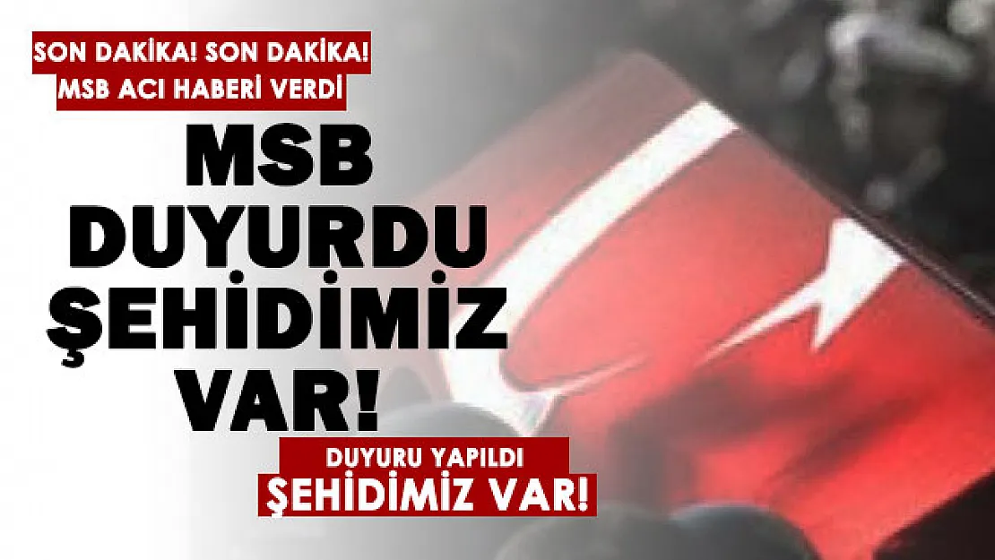 Son dakika: MSB acı haberi duyurdu! Şehidimiz var