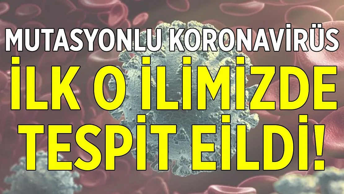 Son dakika Mutasyonlu koronavirüs ilk bu ilimizde tespit edildi!