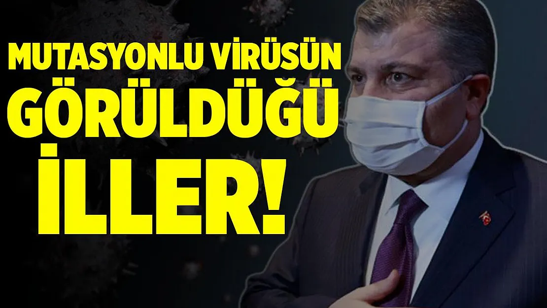 Son dakika mutasyonlu koronavirüsün görüldüğü illerin sayısı açıklandı!