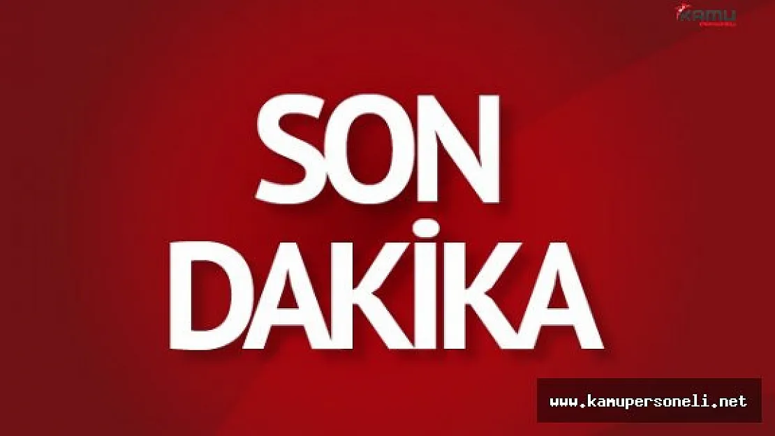Son Dakika: Osmaniye'de Kuduz Alarmı !