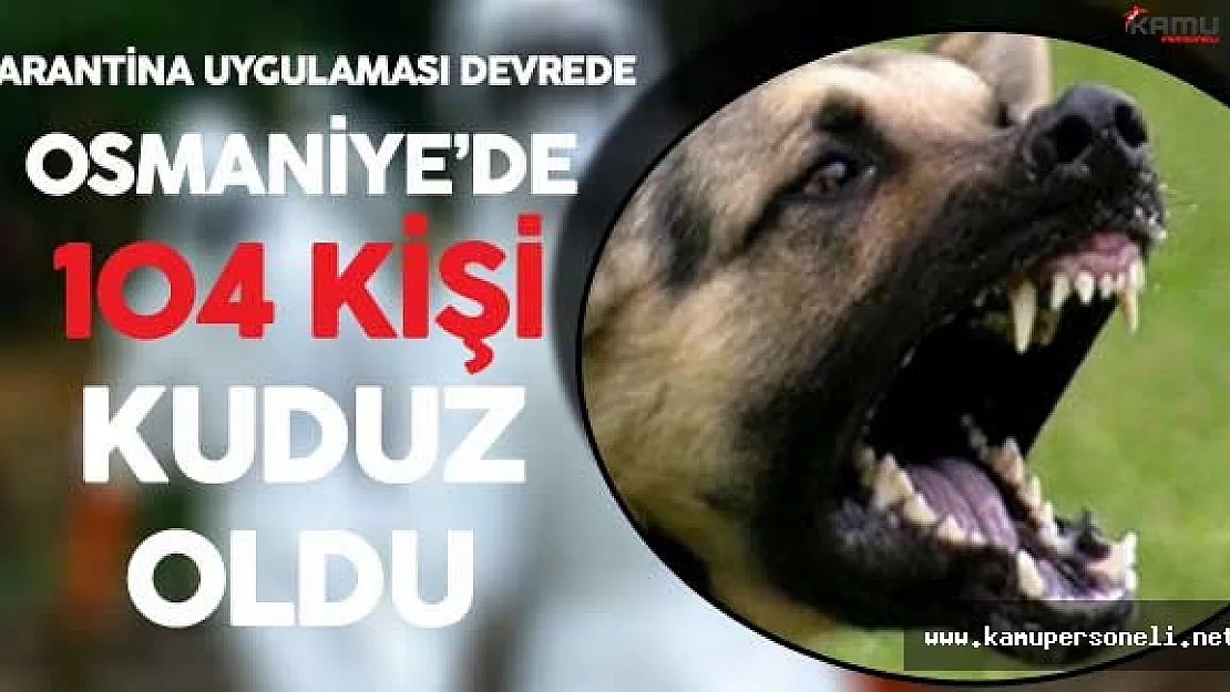 Son Dakika ! Osmaniye'de Kuduz Paniği ! 104 Kişi Kuduz Oldu