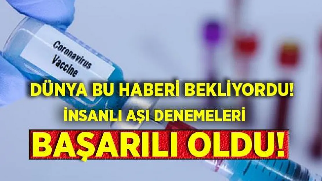 Son dakika Oxford Üniversitesi açıkladı! İnsanlı aşı denemeleri başarılı oldu!