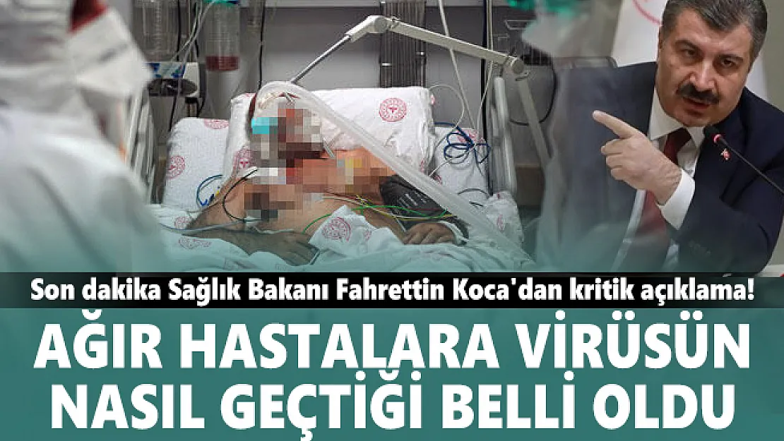 Son dakika Sağlık Bakanı Fahrettin Koca'dan kritik açıklama! Ağır hastalara virüsün nasıl geçtiği belli oldu