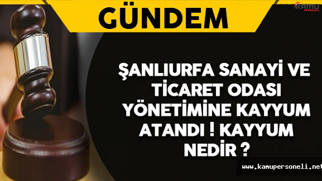 Son Dakika: Şanlıurfa Sanayi ve Ticaret Odası Yönetimine Kayyum atandı ! Kayyum Nedir?