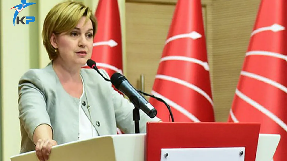Son Dakika: Selin Sayek Böke CHP'deki Görevinden İstifa Etti