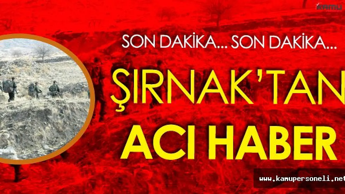 SON DAKİKA! Şırnak'ta Çatışma Çıktı ! Acı Haber Geldi