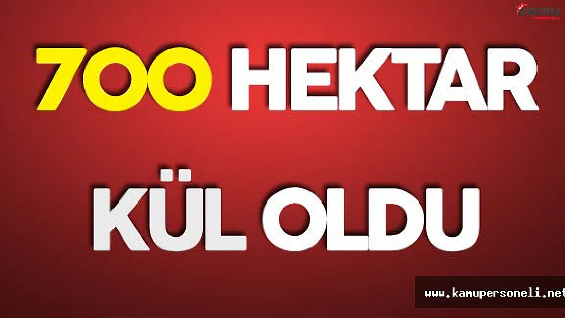 Son Dakika: Sivas'ta Ciğerlerimiz Yanıyor!