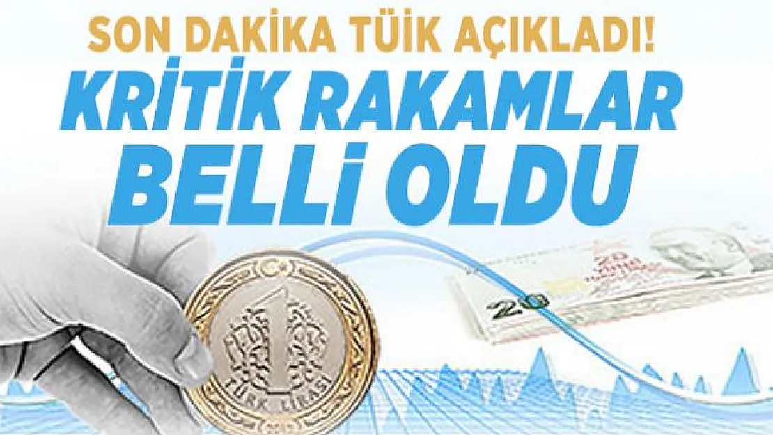 Son dakika TÜİK açıkladı! Temmuz ayı kritik rakamlar belli oldu