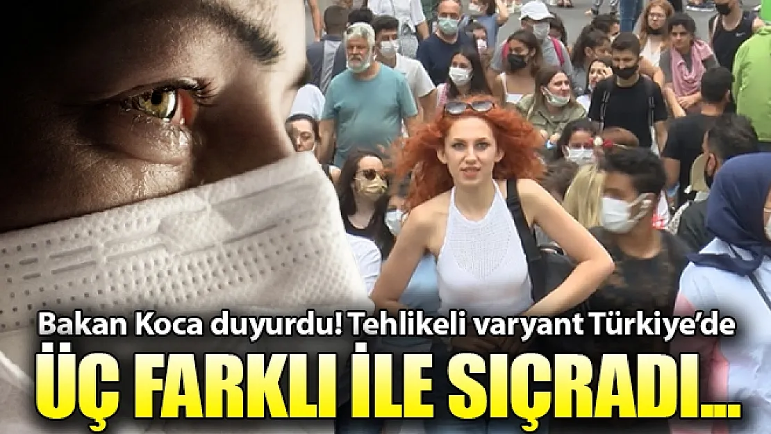 Son dakika Türkiye'de delta plus varyantını görüldü! İşte vakaların görüldüğü 3 il..