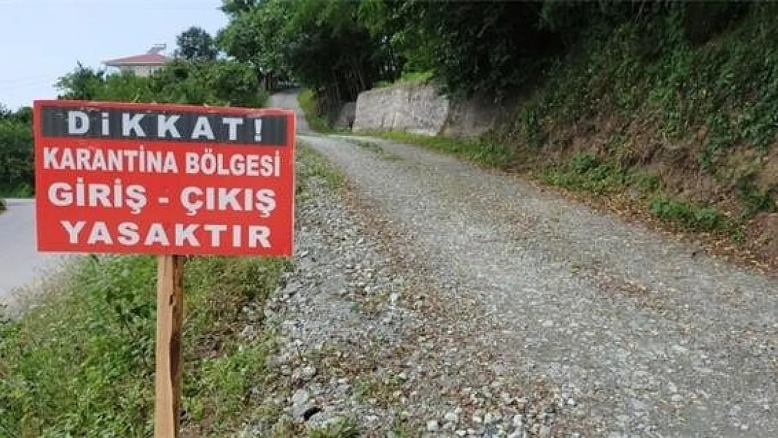 Son dakika! Türkiye'de mutasyonlu virüs hızla yayılmaya başladı! 1 köy daha karantinaya alındı