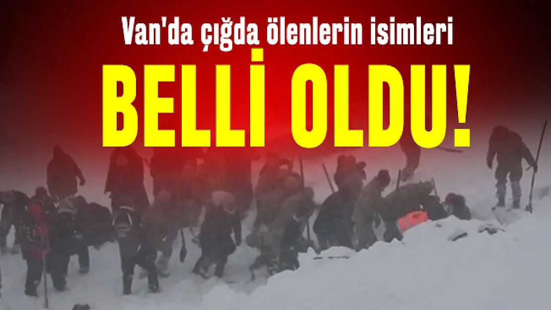 Son dakika Van'da çığda ölenlerin isimleri belli oldu! Çığ şehitlerinin isimleri açıklandı
