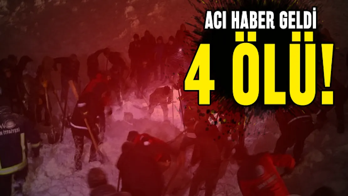 Son dakika Van'dan acı haber geldi: 4 ölü!