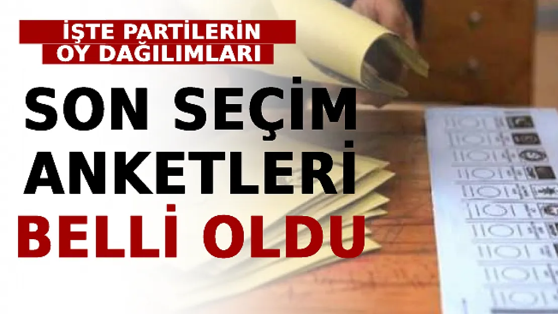 Son Seçim Anketleri Belli Oldu! İşte Partilerin Oy Dağılımları
