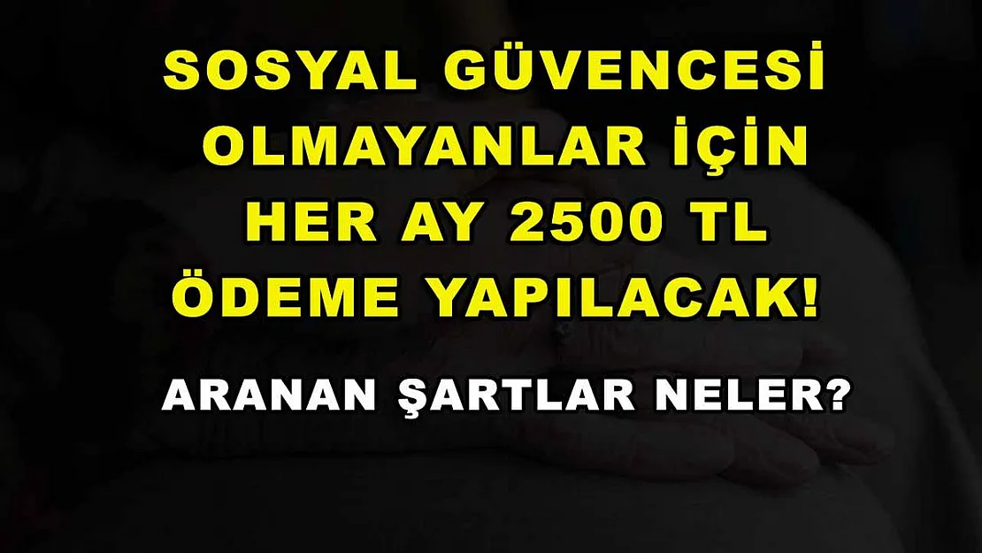 Sosyal güvencesi olmayanlar için her ay 2500 TL ödeme yapılacak! Aranan şartlar neler?