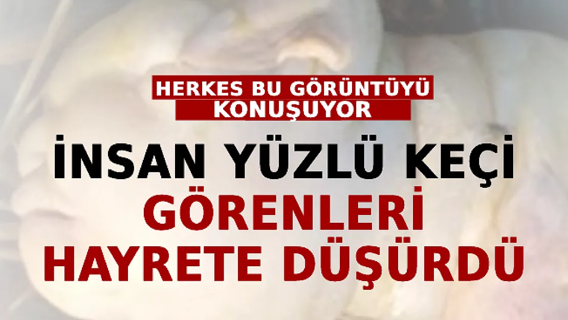 Sosyal Medya Bu Görüntüyü Konuşuyor! İnsan Yüzlü Keçi Görenleri Hayrete Düşürdü