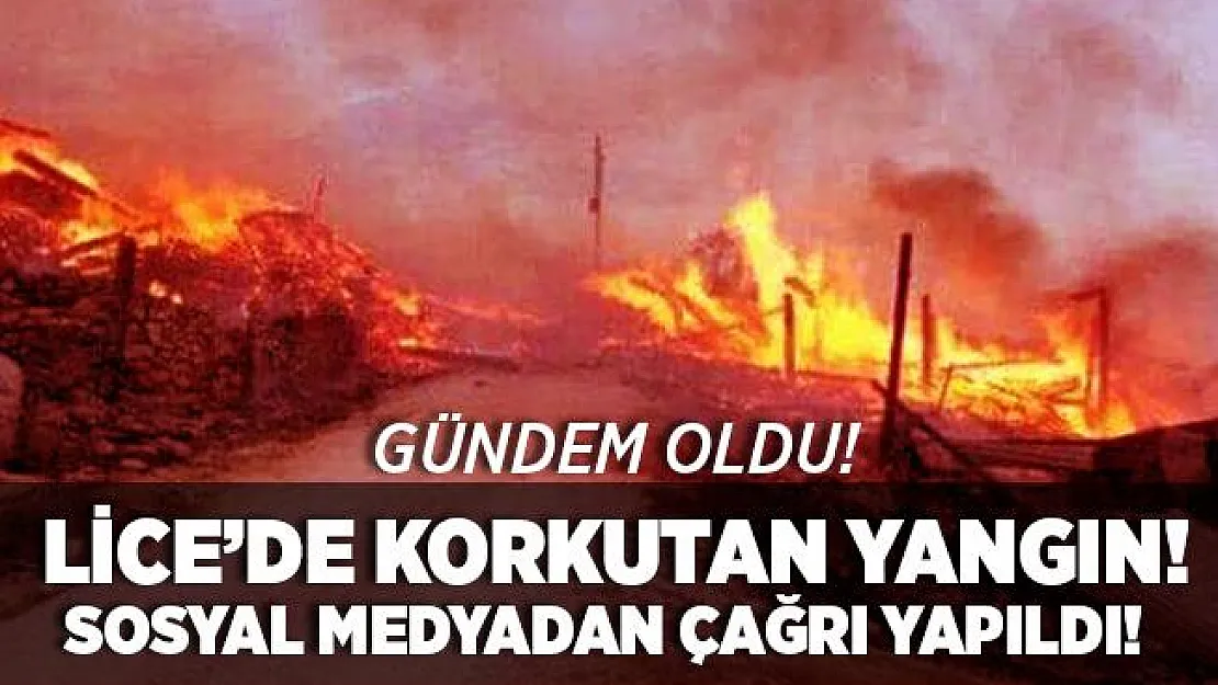 Sosyal medyada gündem oldu! Lice'de korkutan yangın! Vatandaşlar sosyal medyadan yardım istiyor!
