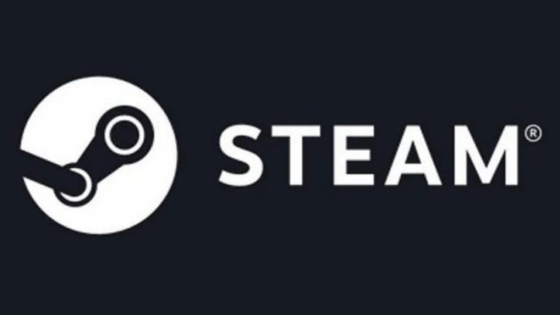 Steam'de 11 TL Olan The Fan Bedava Oldu!