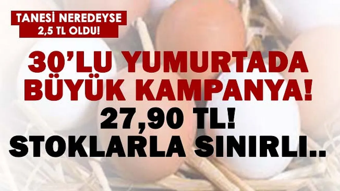 Stoklarla sınırlı! Yumurtada büyük kampanya! 30'lu yumurta sadece 27,90 TL!