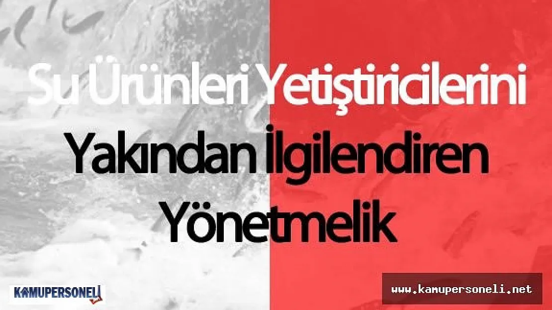 Su Ürünleri İstihsal Hakkının Kiraya Verilmesi Yönetmeliğinde Değişiklik