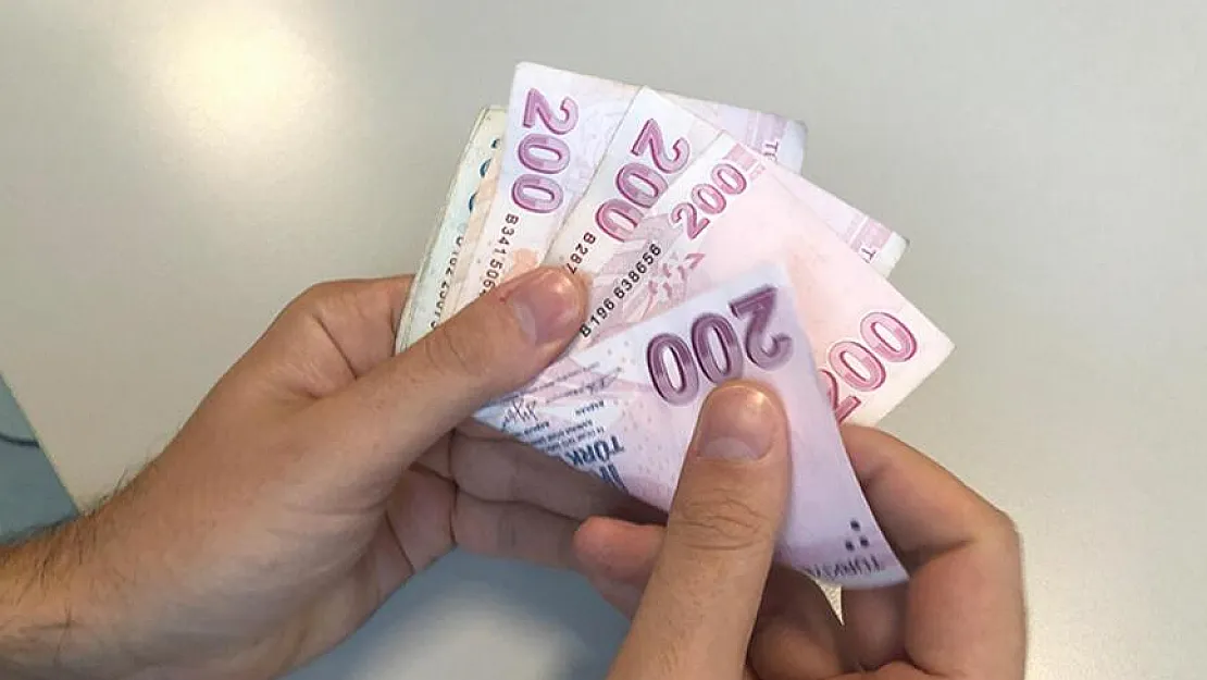 Şubat ayı ödemeleri hesaplara yattı! Herkes e-Devletten baksın ve bankasından parasını alsın