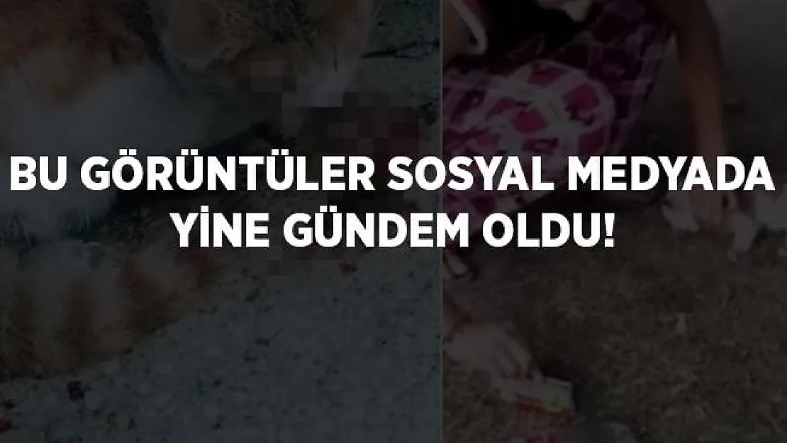 Sude Andaş yine sosyal medyada gündem oldu! Tutuklansın diye sosyal medyadan çağrı yapıyorlar!