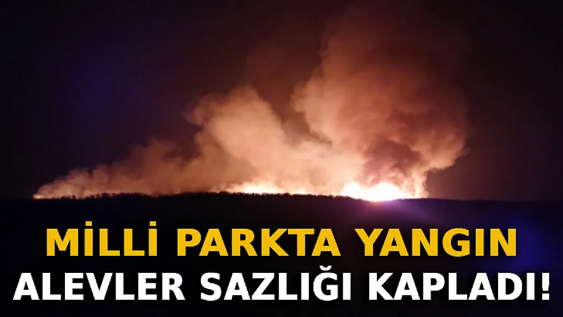 Sultan Sazlığı Milli Parkı'nda Yangın: Alevler Sazlığı Kapladı!