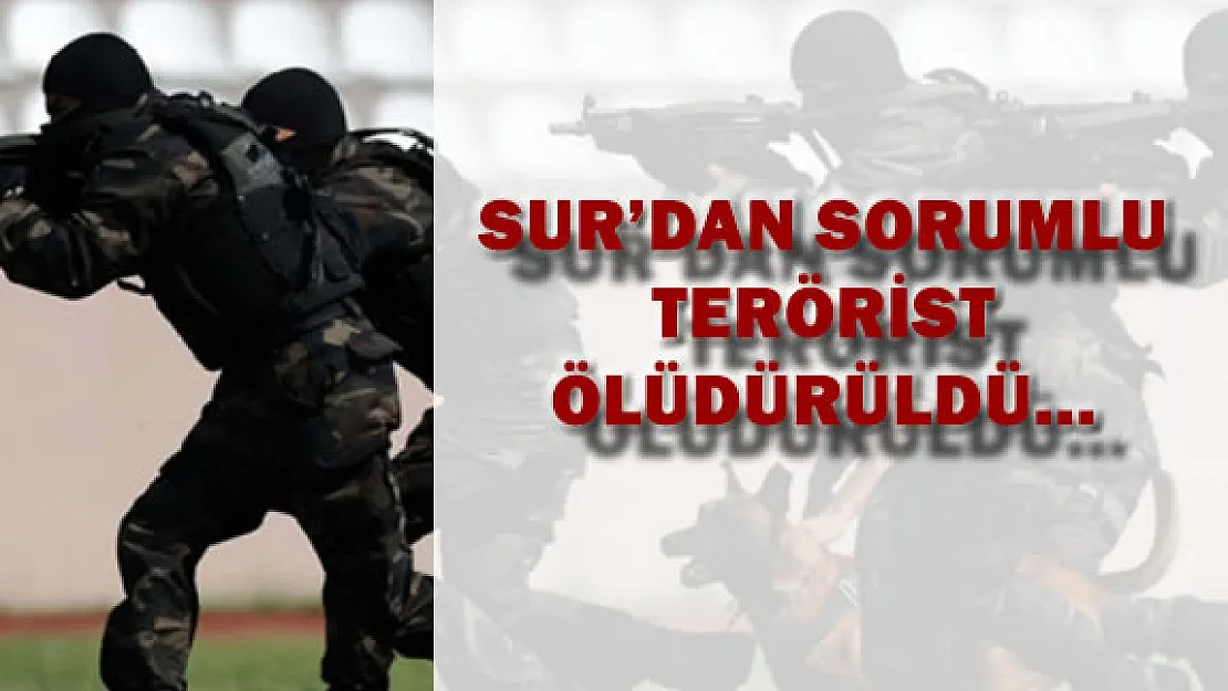 Sur Sorumlusu Yok Edildi