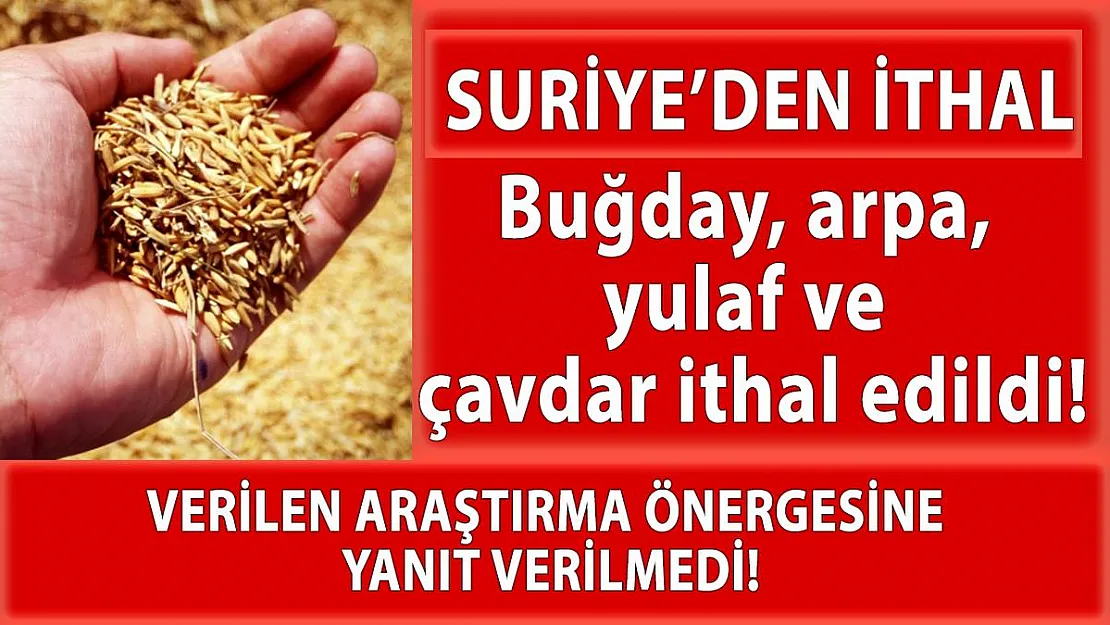 Suriye'den buğday, arpa, yulaf ve çavdar ithal edildi!