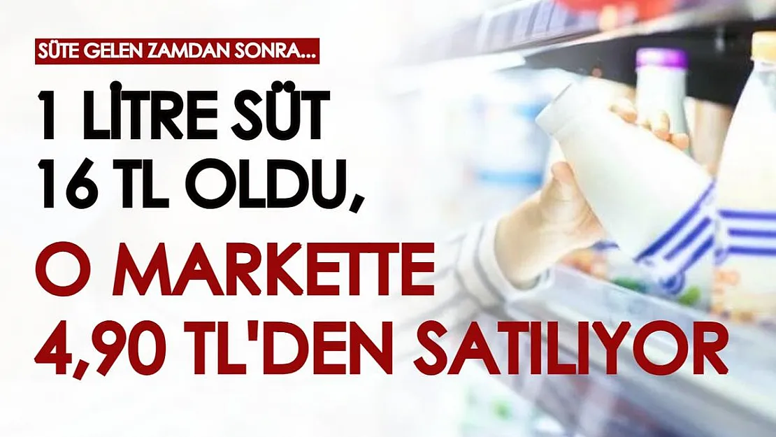 Süt fiyatı birçok yerde 16 TL'ye dayandı, o markette 1 litre süt 4,90'a satılıyor! Stoklar tükenmeden acele edin