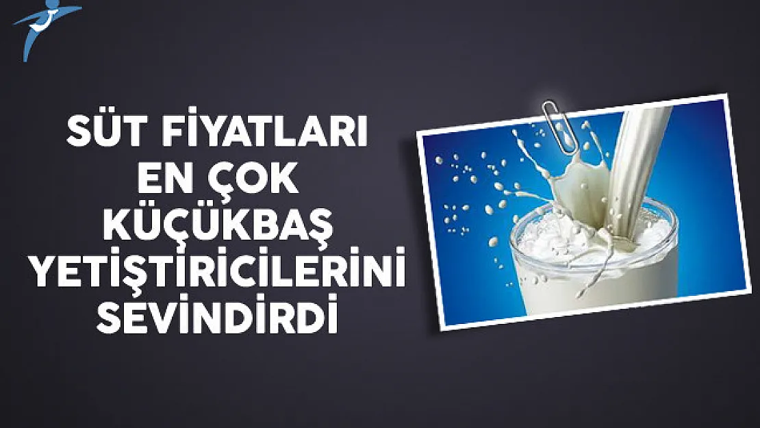 Süt Fiyatları En Çok Küçükbaş Yetiştiricilerini Sevindirdi